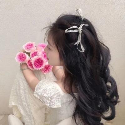 冒牌刺客
